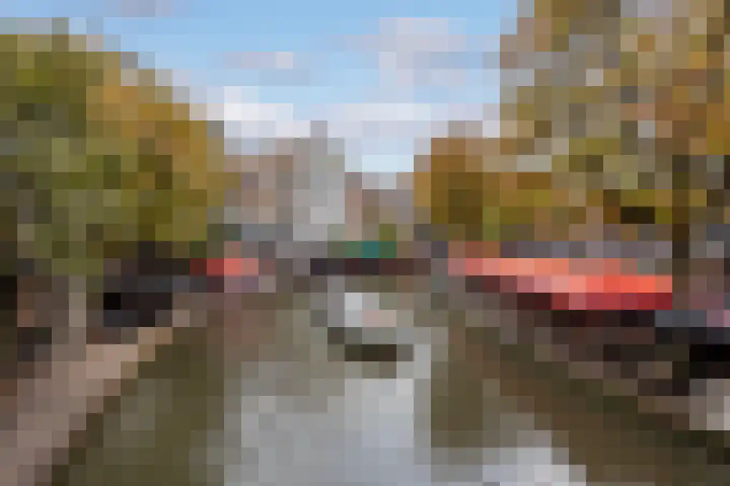 Hamsteeg 17 C Utrecht thumbnail 21