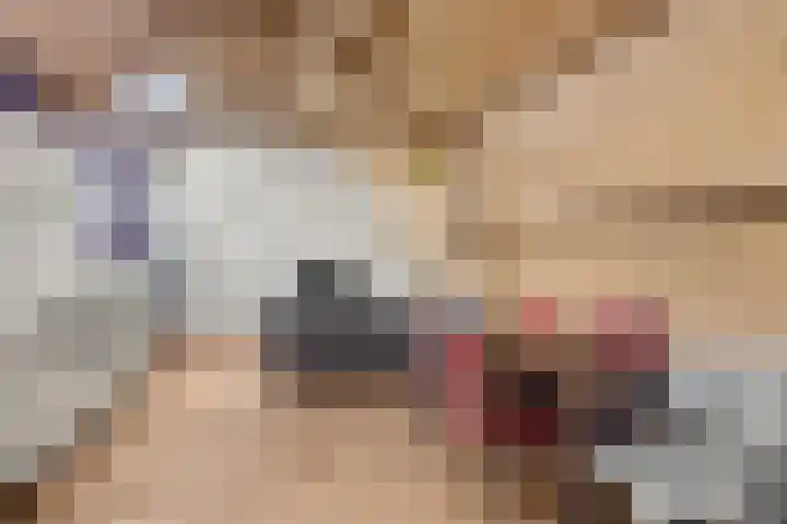 Hamsteeg 4 Utrecht thumbnail 11
