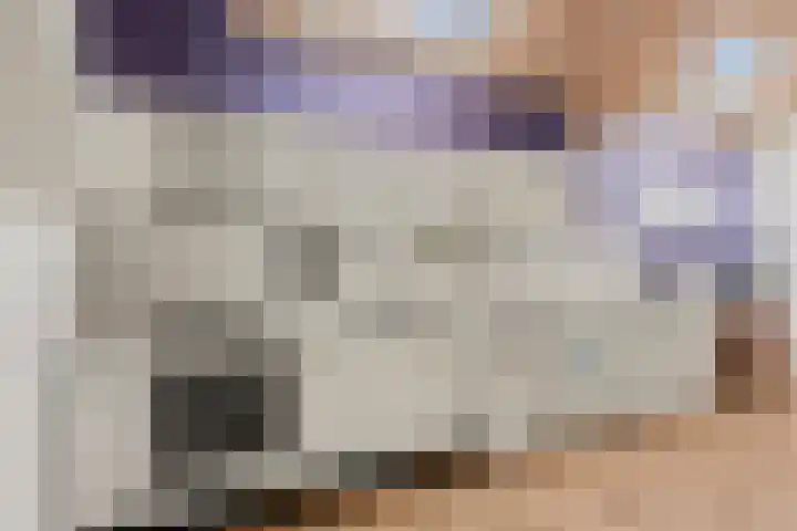 Hamsteeg 4 Utrecht thumbnail 14