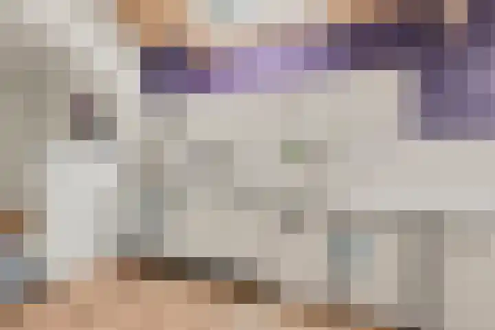 Hamsteeg 4 Utrecht thumbnail 15