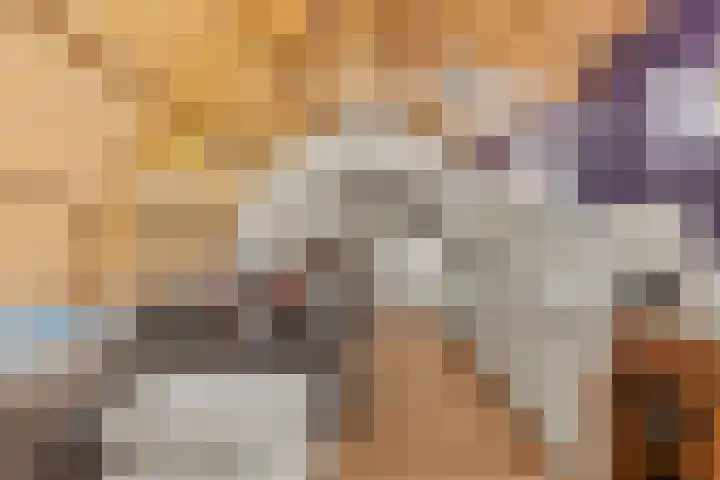 Hamsteeg 4 Utrecht thumbnail 18
