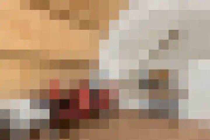 Hamsteeg 4 Utrecht thumbnail 19