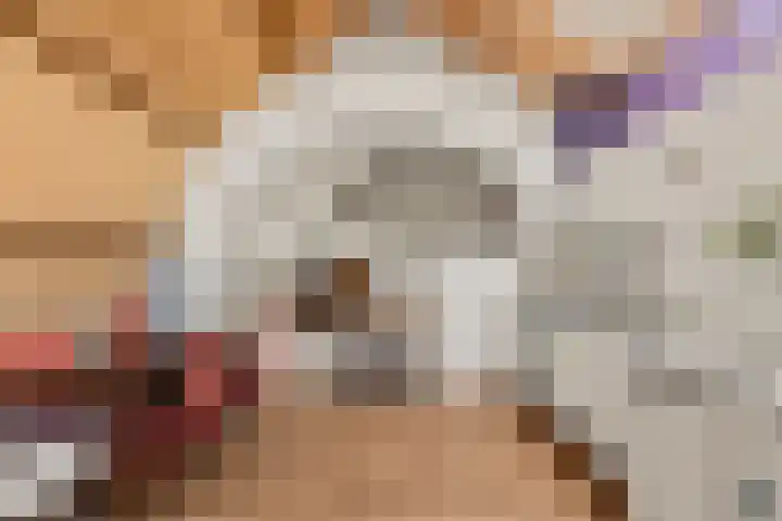 Hamsteeg 4 Utrecht thumbnail 20