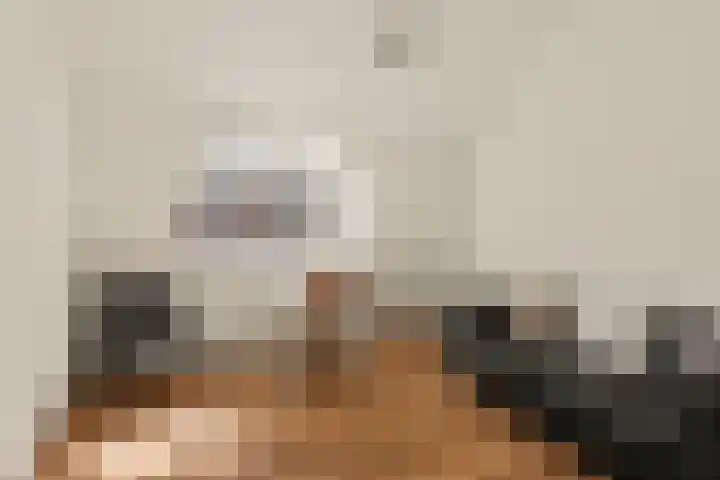 Hamsteeg 4 Utrecht thumbnail 28
