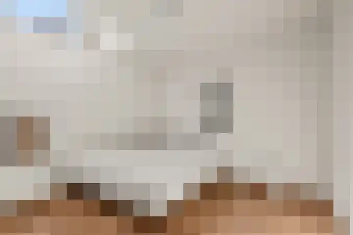 Hamsteeg 4 Utrecht thumbnail 37