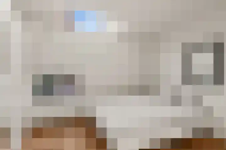 Hamsteeg 4 Utrecht thumbnail 38