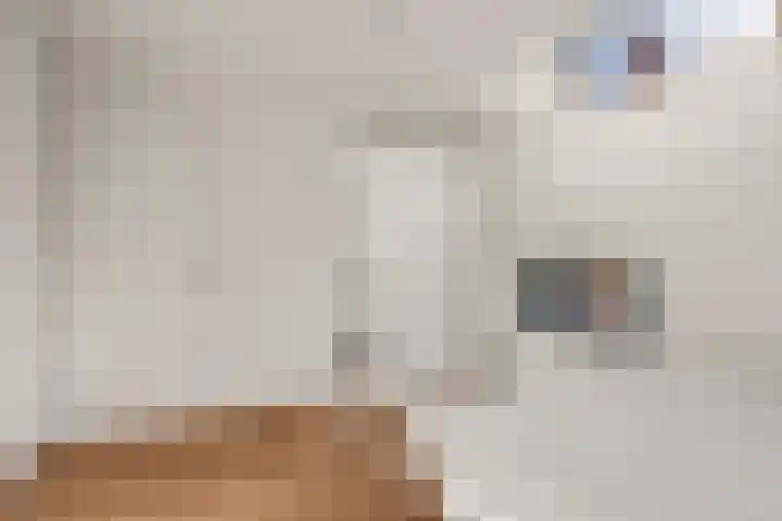 Hamsteeg 4 Utrecht thumbnail 39