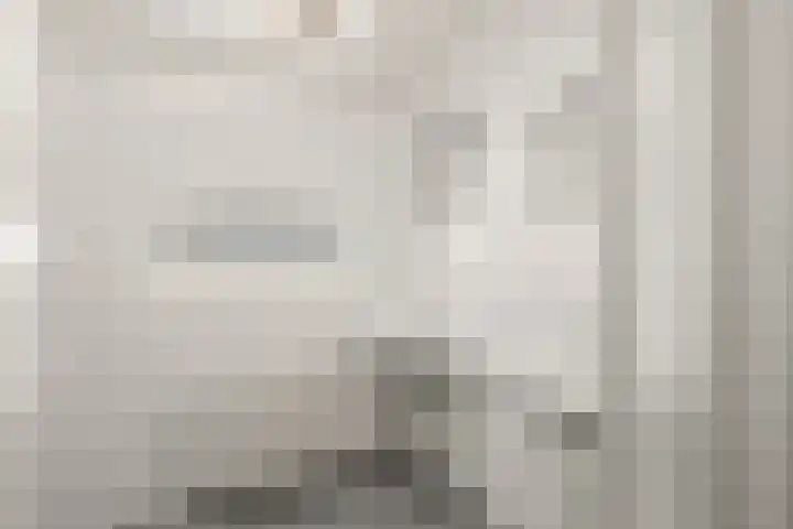 Hamsteeg 4 Utrecht thumbnail 47