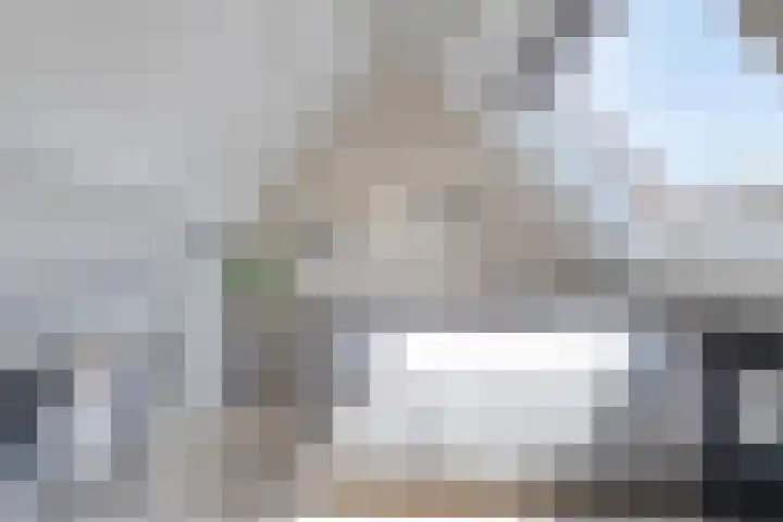 Hamsterberg 12 Roosendaal thumbnail 17