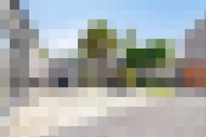 Hamsterberg 12 Roosendaal thumbnail 19