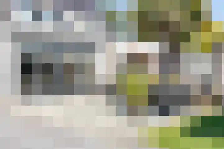 Hamsterberg 12 Roosendaal thumbnail 21