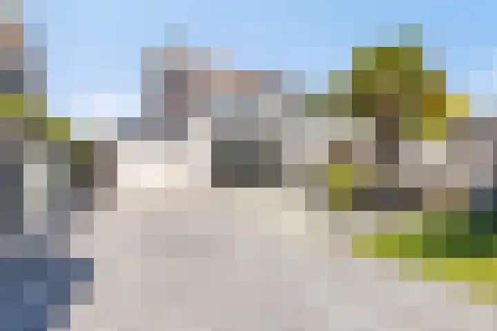 Hamsterberg 12 Roosendaal thumbnail 22