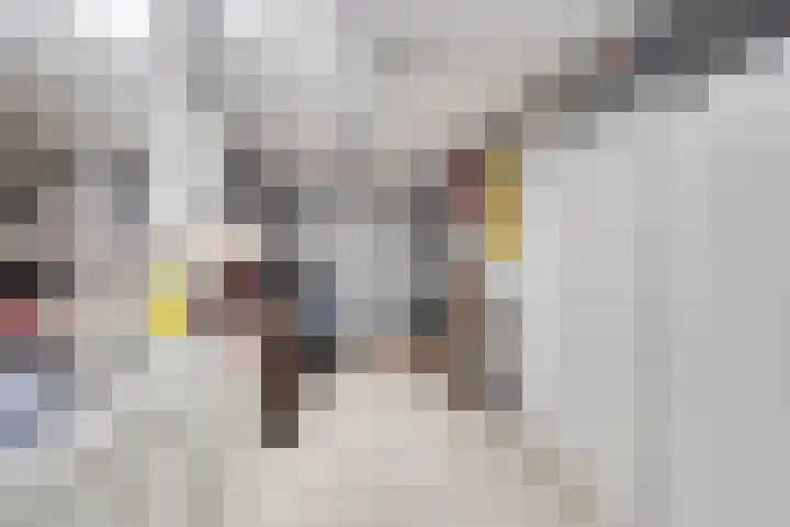 Hamsterberg 12 Roosendaal thumbnail 24