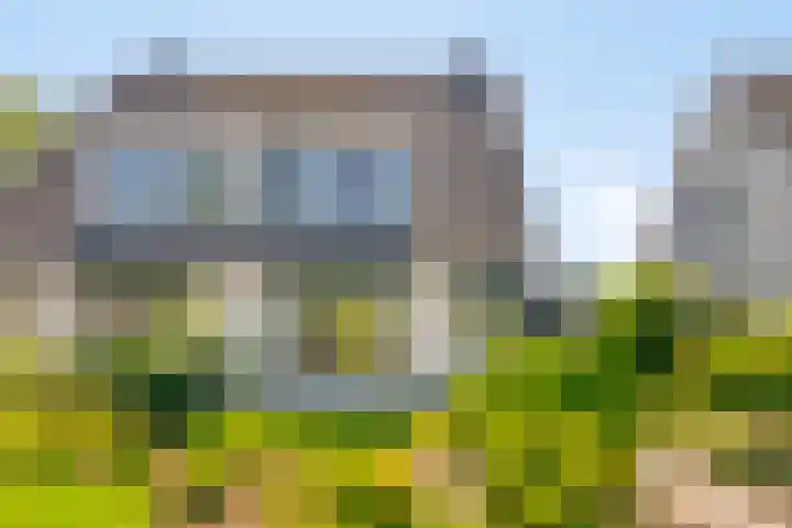 Hamsterberg 12 Roosendaal thumbnail 26