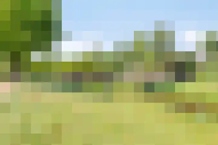 Hamsterberg 12 Roosendaal thumbnail 29