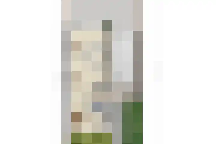 Hamsterberg 12 Roosendaal thumbnail 30