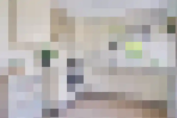 Hamsterberg 12 Roosendaal thumbnail 8