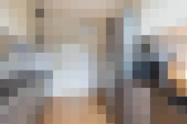 Hamsterborg 11 Almelo thumbnail 10