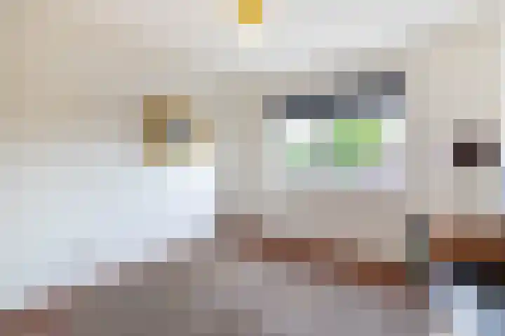 Hamsterborg 11 Almelo thumbnail 12