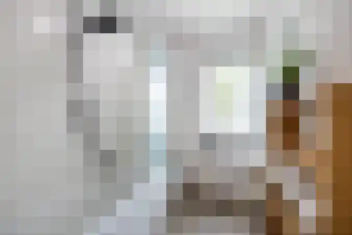 Hamsterborg 11 Almelo thumbnail 16