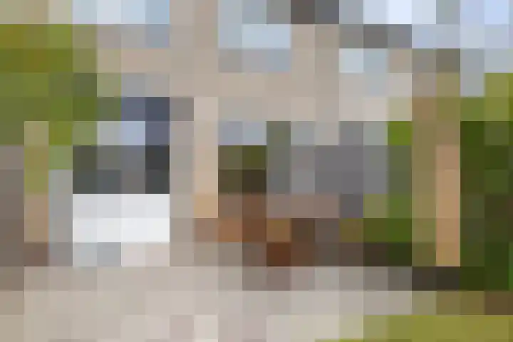 Hamsterborg 11 Almelo thumbnail 21