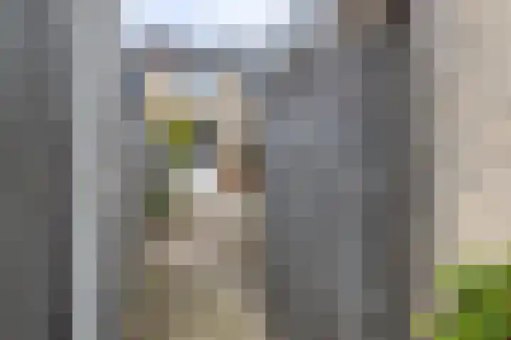 Hamsterborg 11 Almelo thumbnail 23