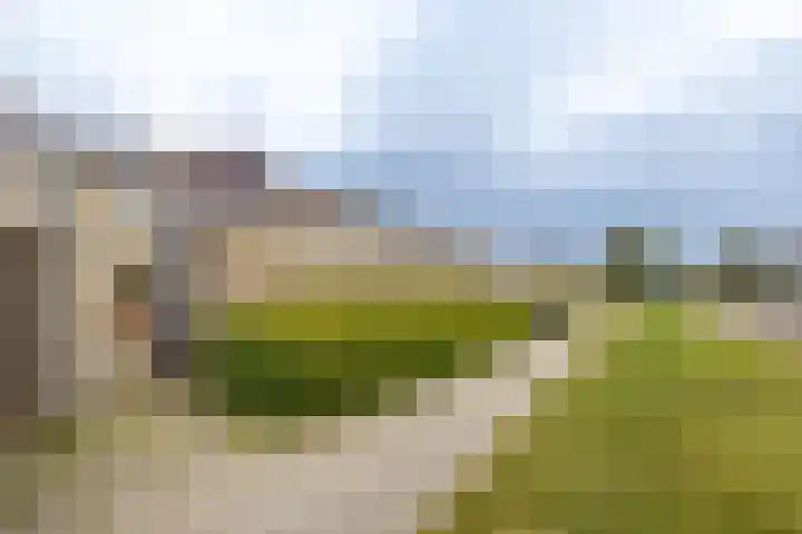 Hamsterborg 11 Almelo thumbnail 24