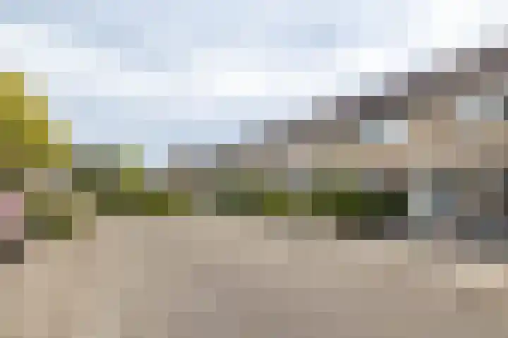 Hamsterborg 11 Almelo thumbnail 25