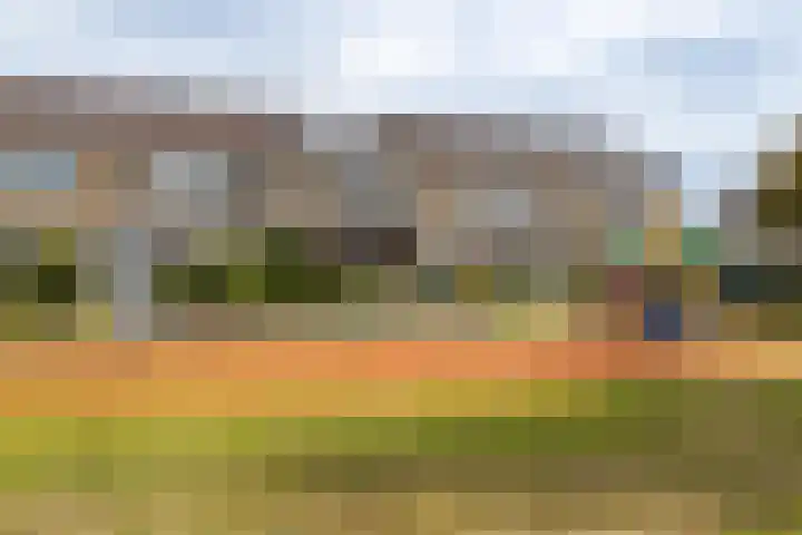 Hamsterborg 11 Almelo thumbnail 26