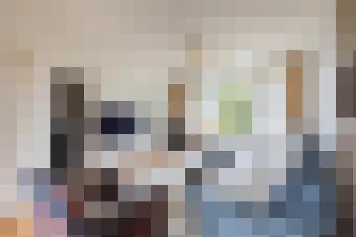 Hamsterborg 11 Almelo thumbnail 4