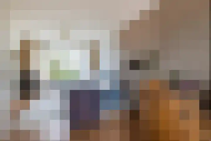 Hamsterborg 11 Almelo thumbnail 8
