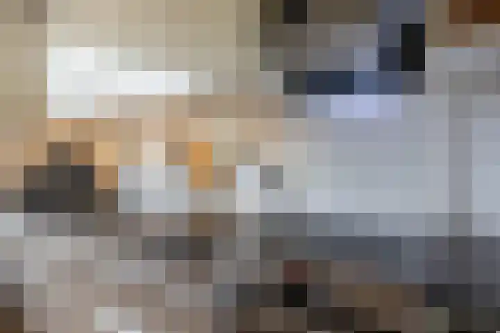 Hamsterborg 11 Almelo thumbnail 9