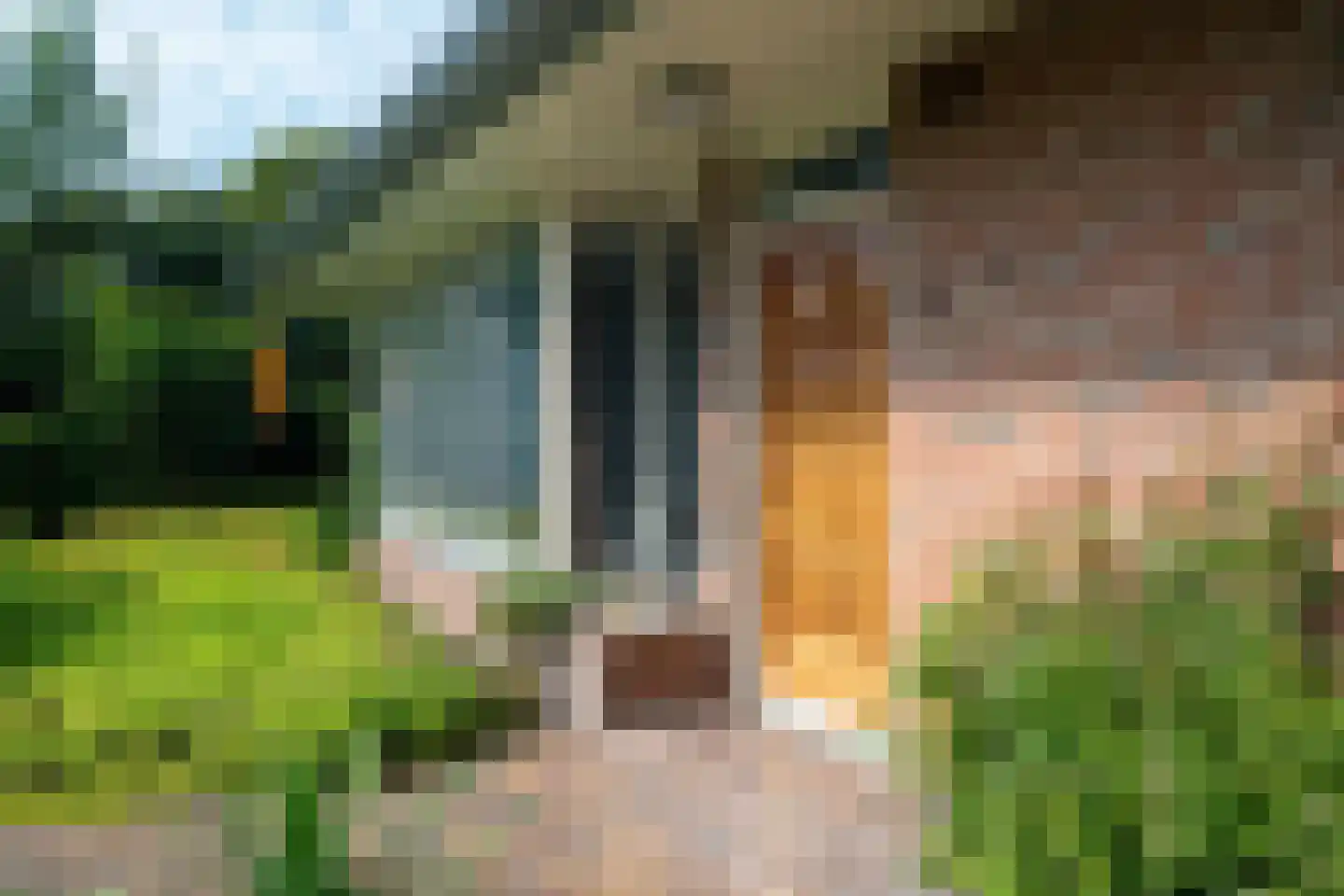 Hamsterdreef 6 Aduard thumbnail 11