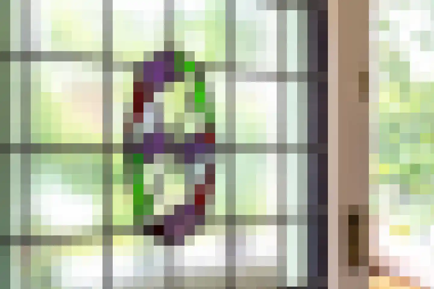 Hamsterdreef 6 Aduard thumbnail 20