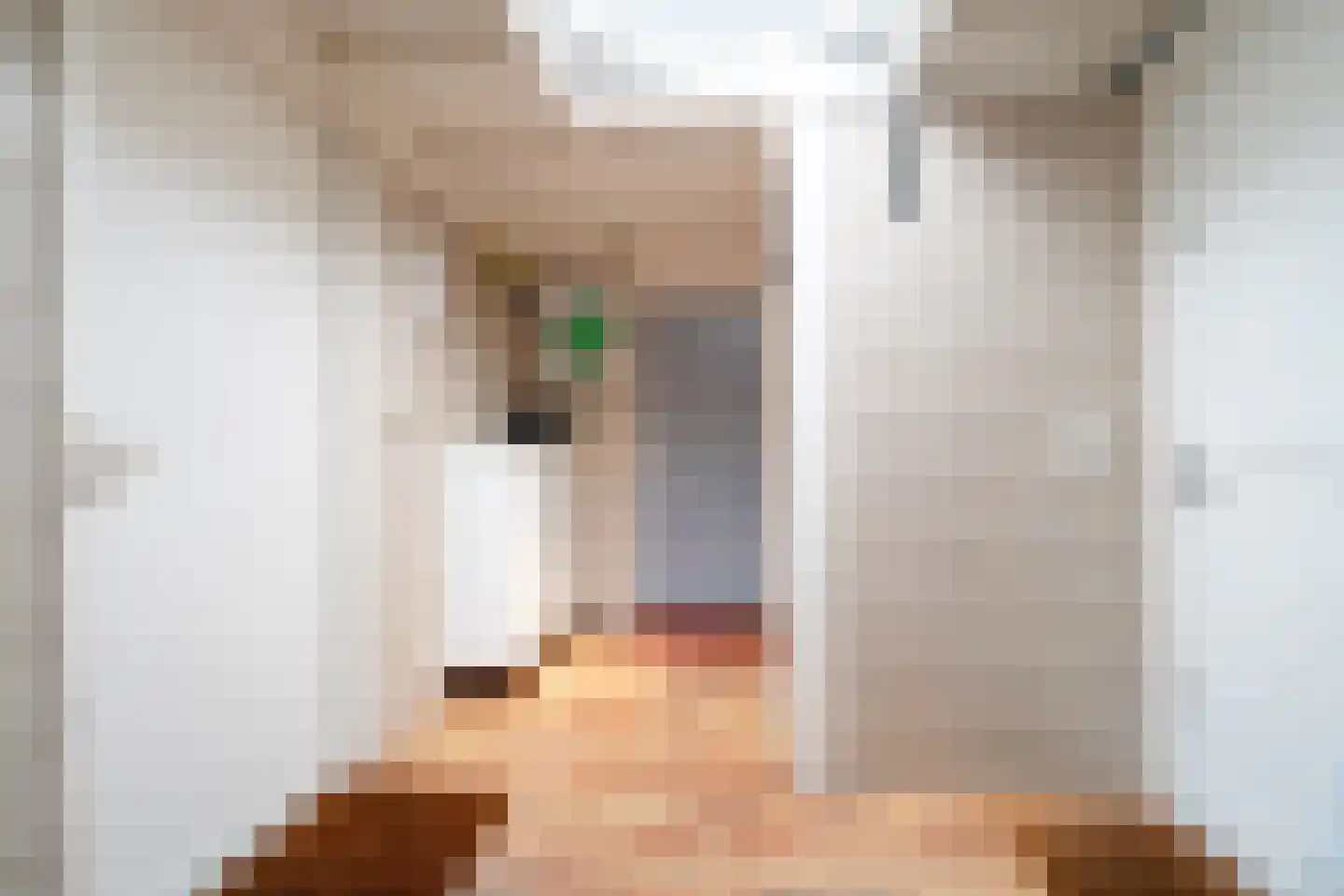 Hamsterdreef 6 Aduard thumbnail 35