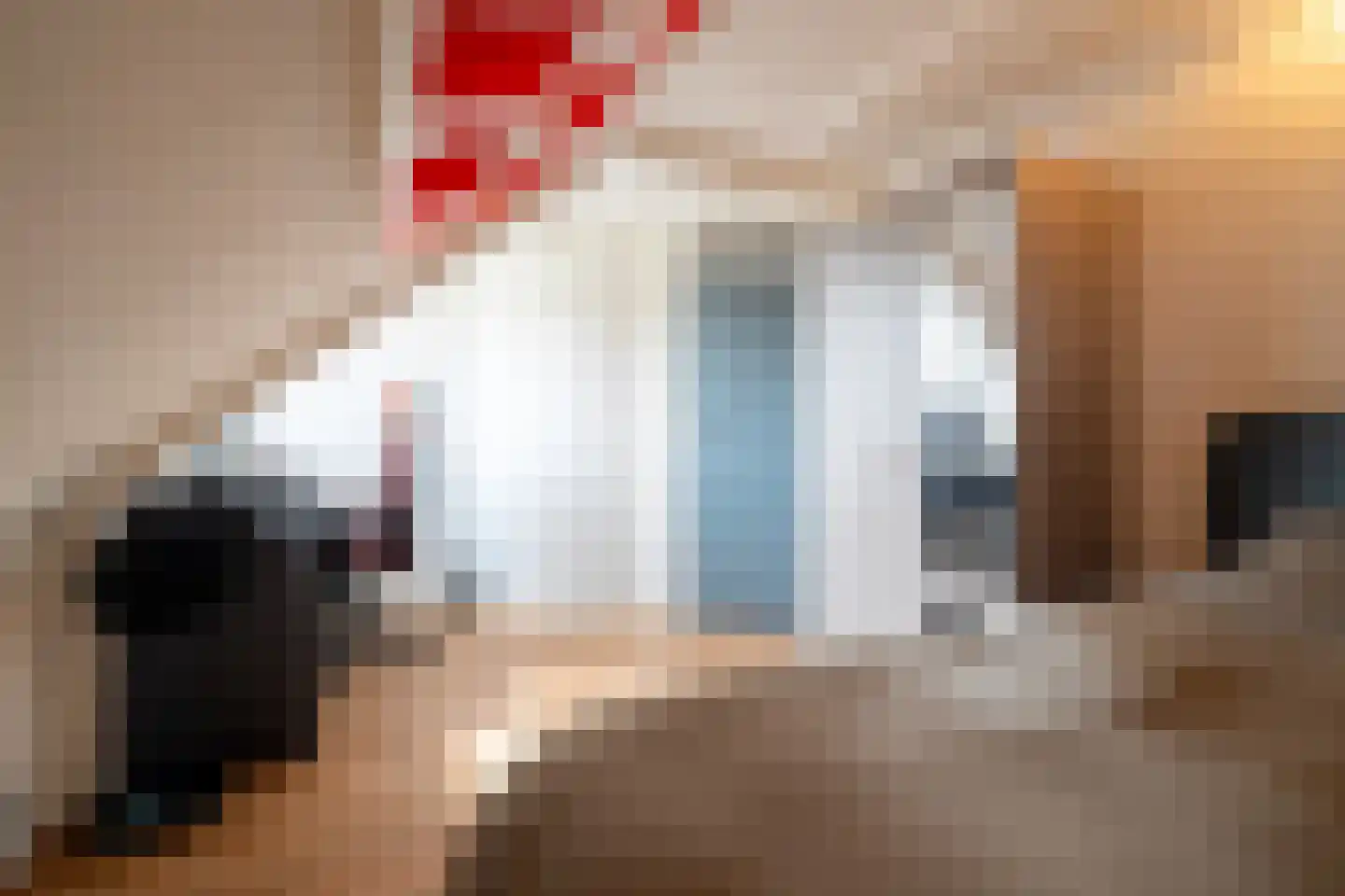 Hamsterdreef 6 Aduard thumbnail 49