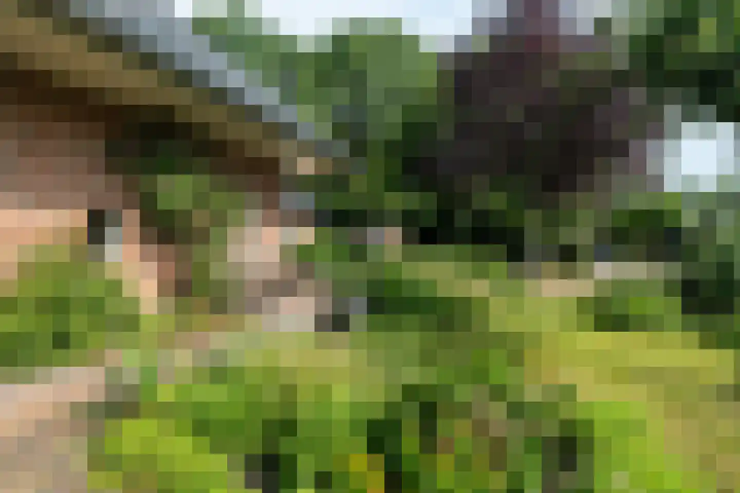 Hamsterdreef 6 Aduard thumbnail 68