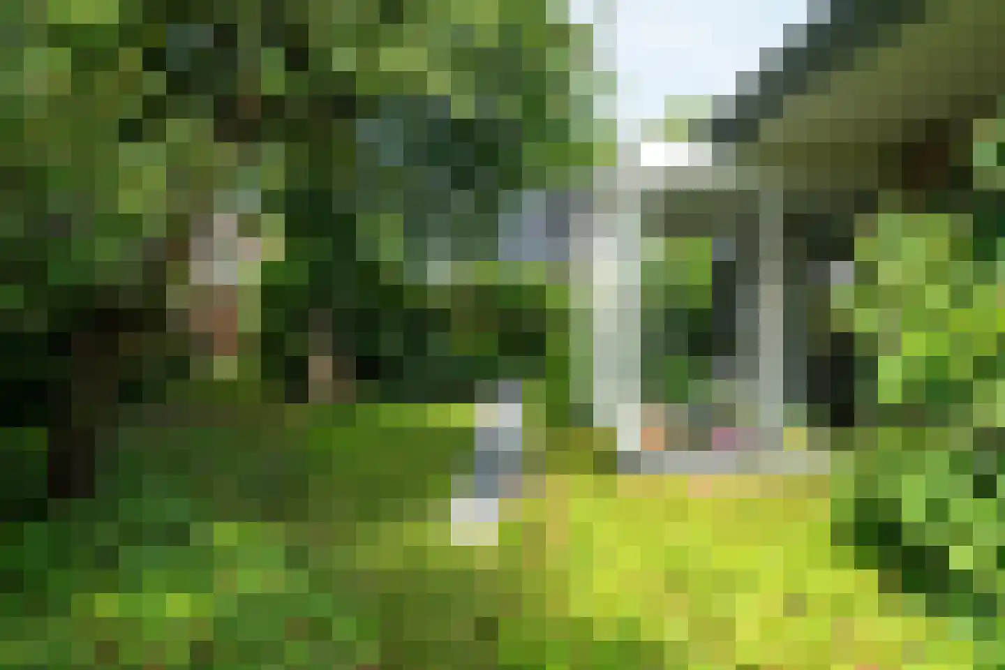 Hamsterdreef 6 Aduard thumbnail 70