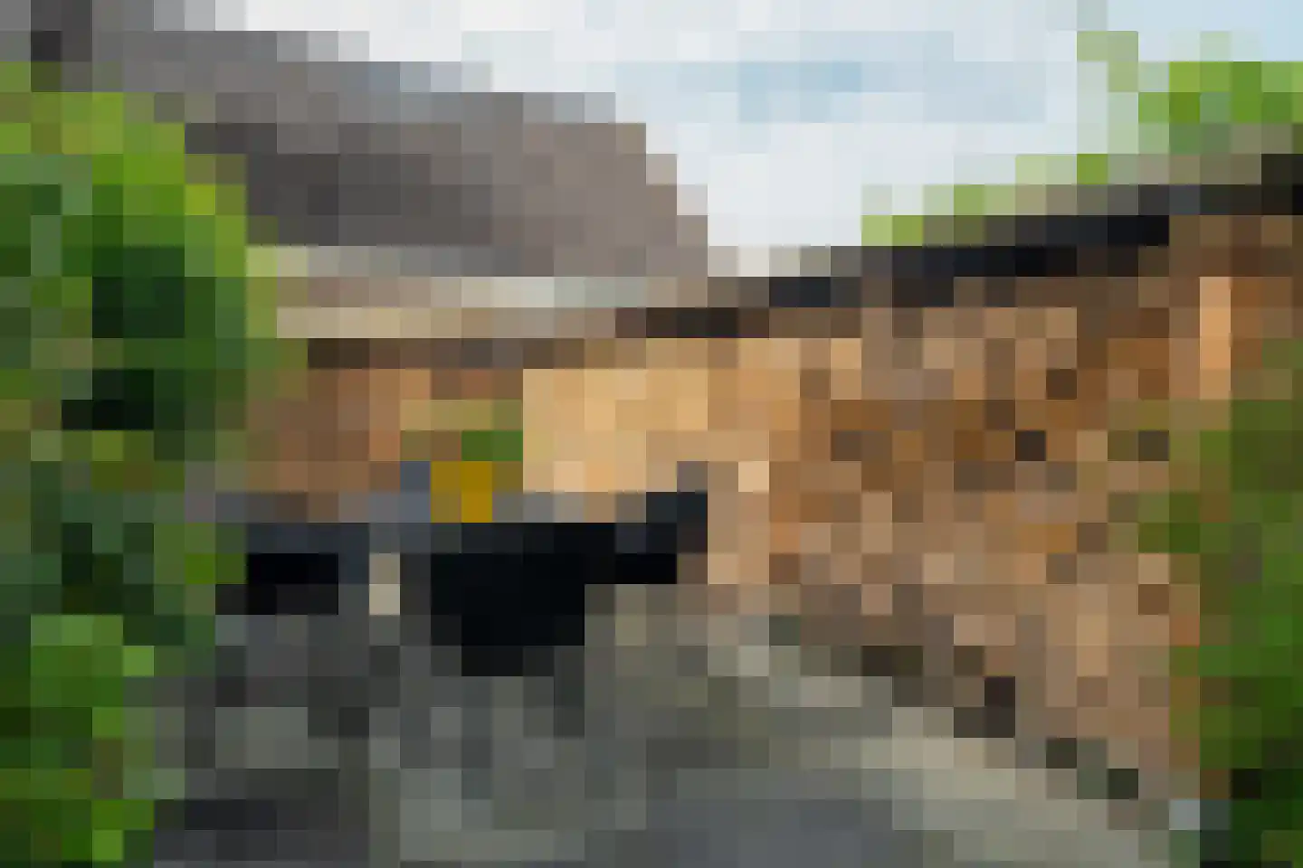 Hamsterdreef 6 Aduard thumbnail 72
