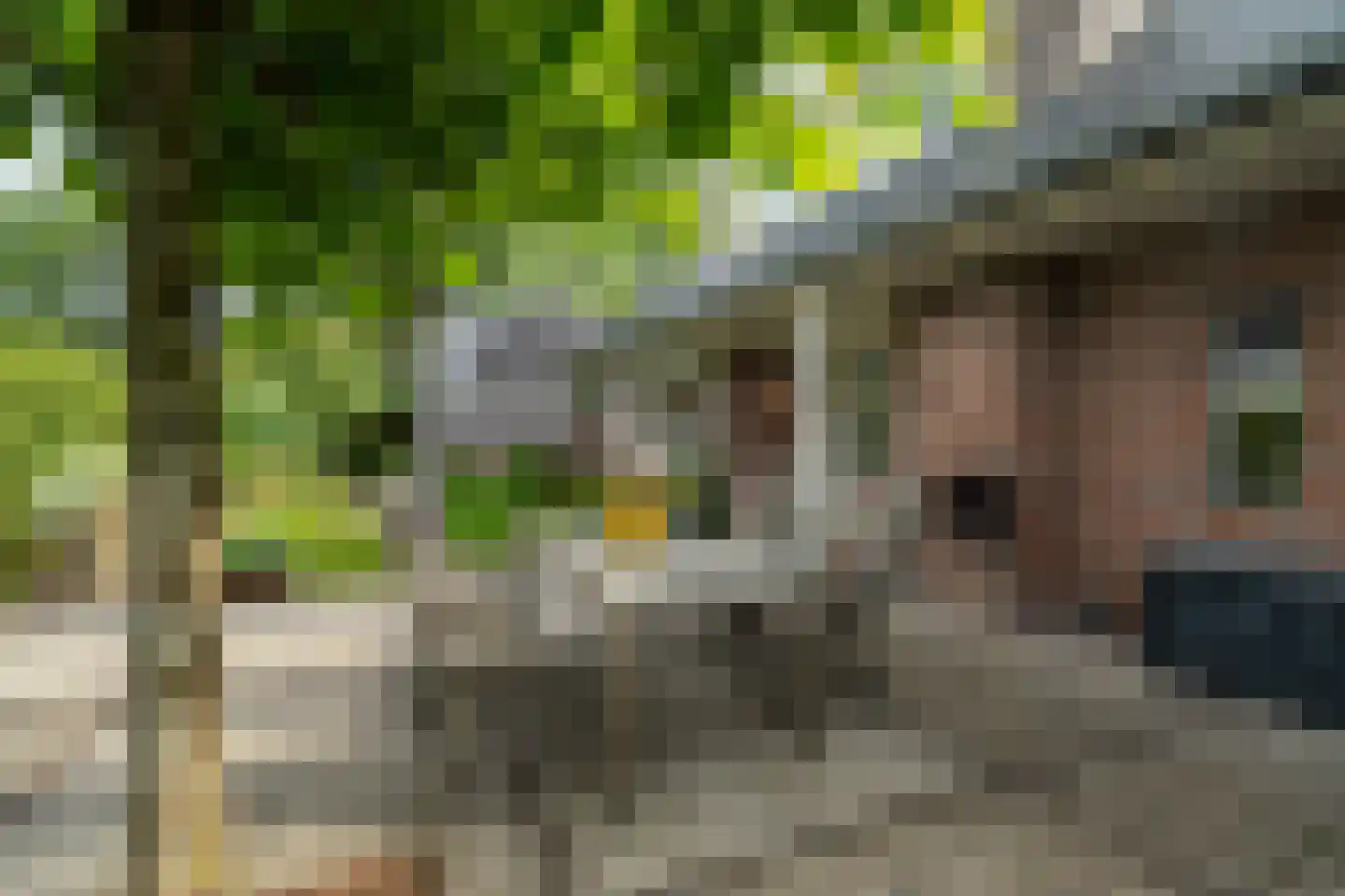 Hamsterdreef 6 Aduard thumbnail 75
