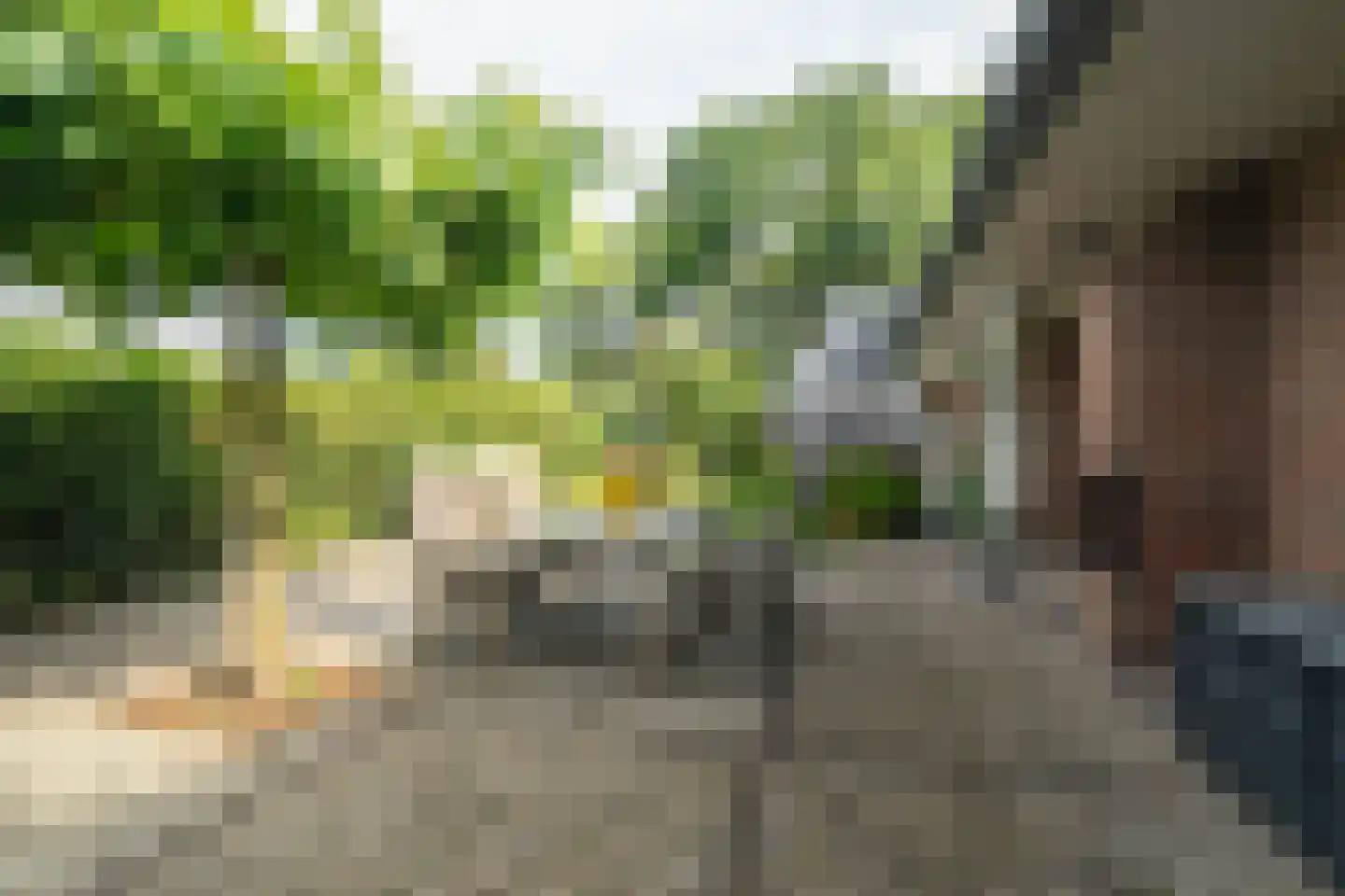 Hamsterdreef 6 Aduard thumbnail 76