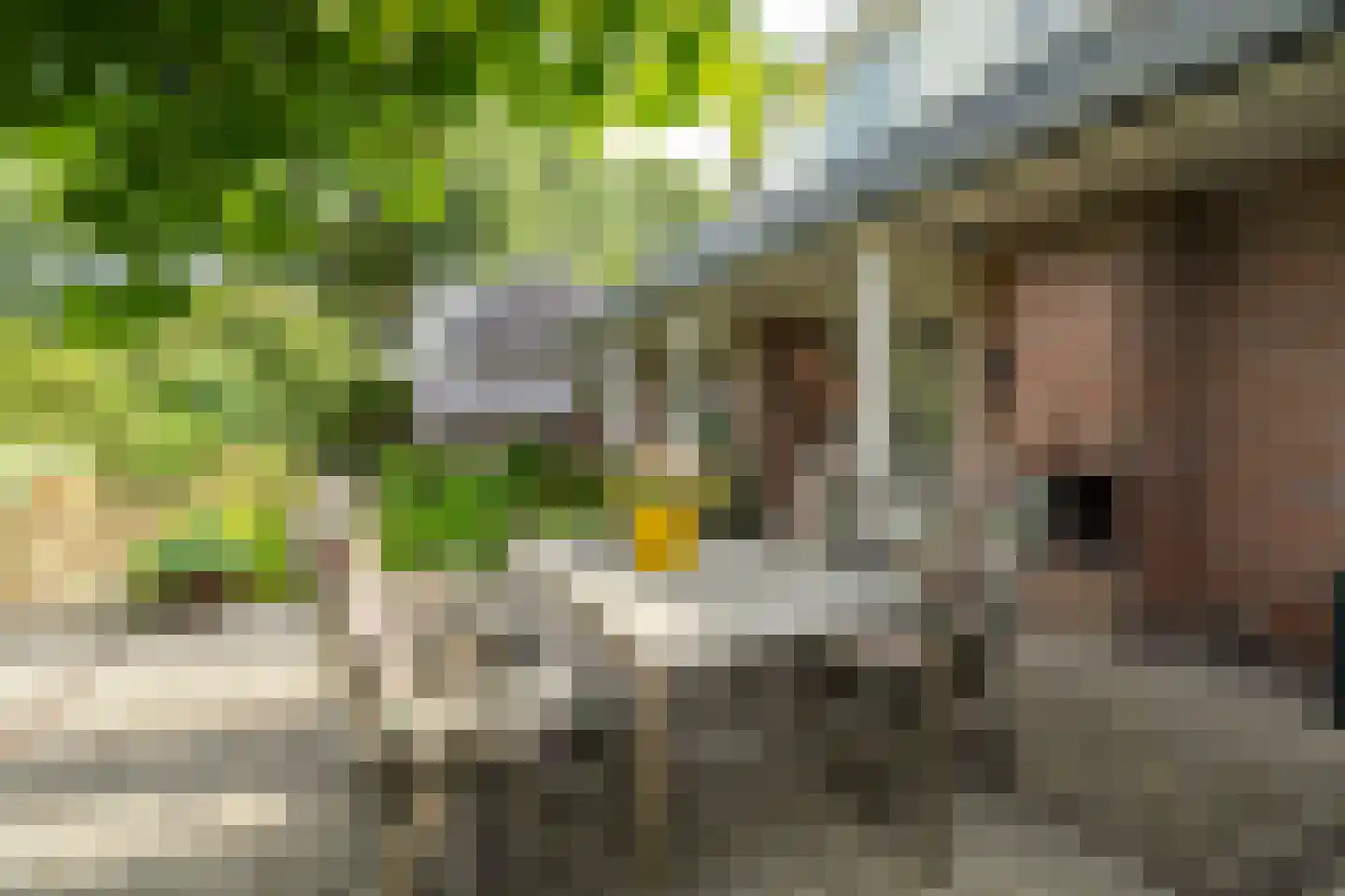 Hamsterdreef 6 Aduard thumbnail 77