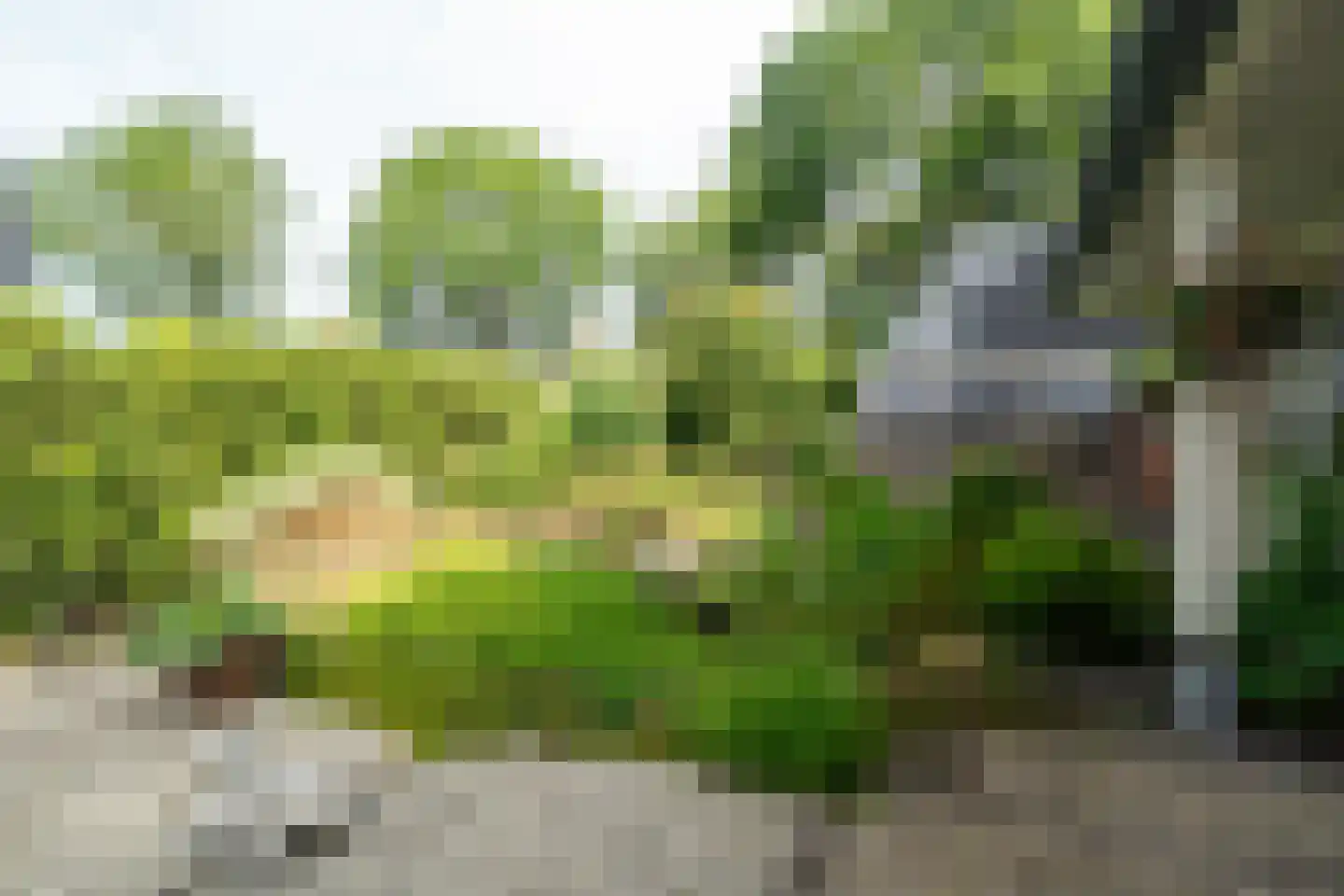 Hamsterdreef 6 Aduard thumbnail 82