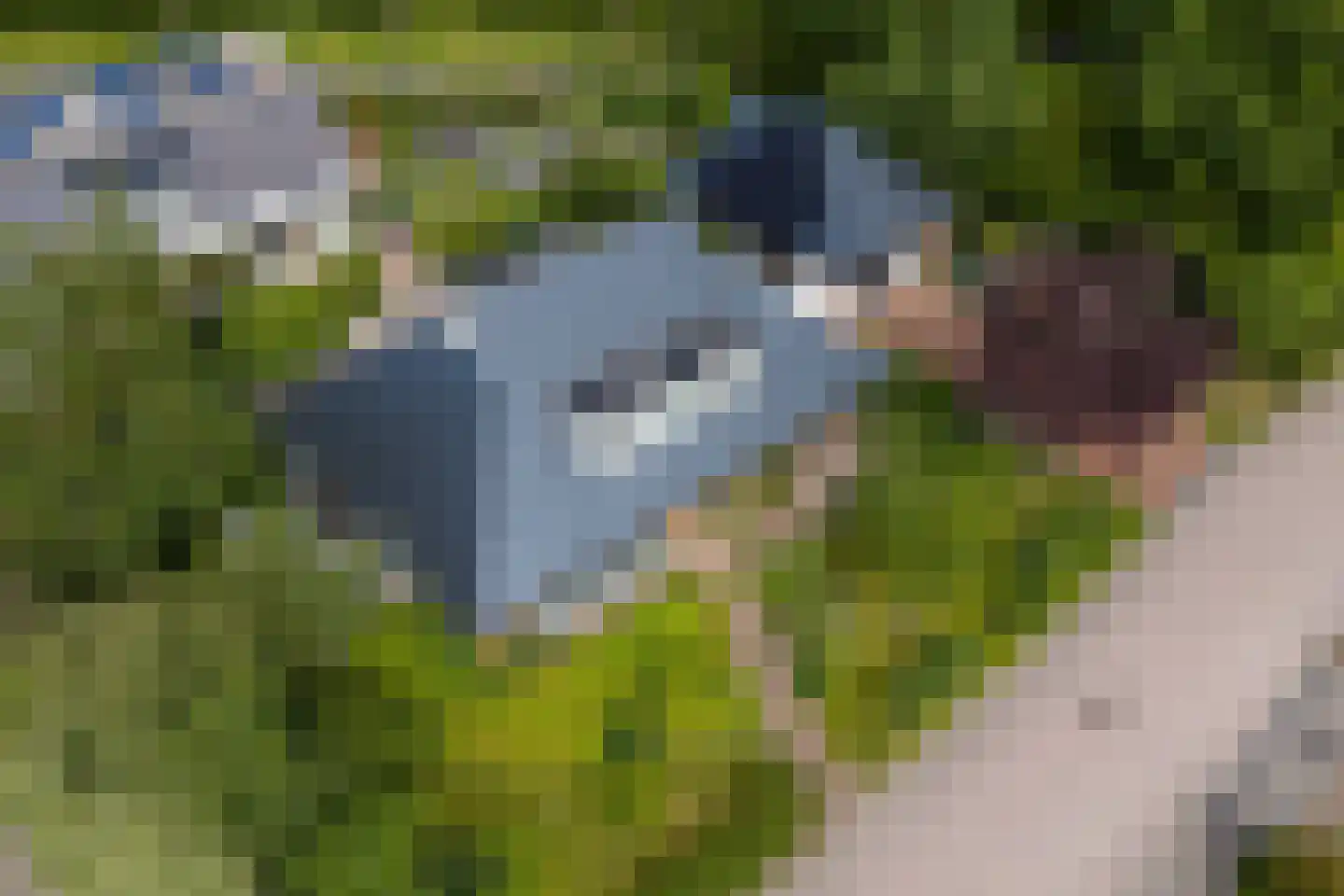 Hamsterdreef 6 Aduard thumbnail 85