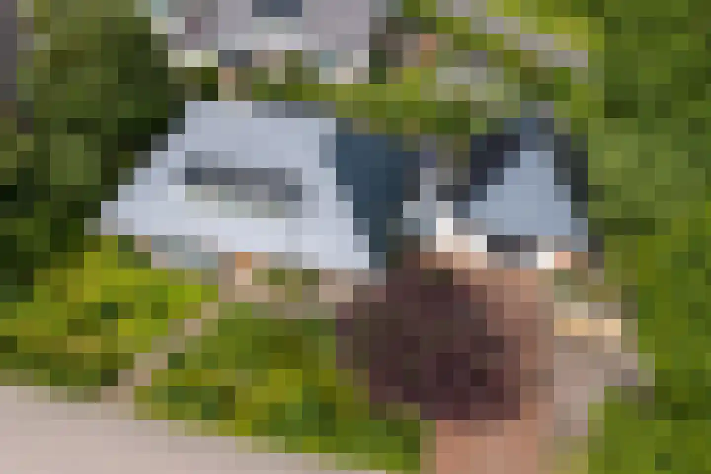 Hamsterdreef 6 Aduard thumbnail 86