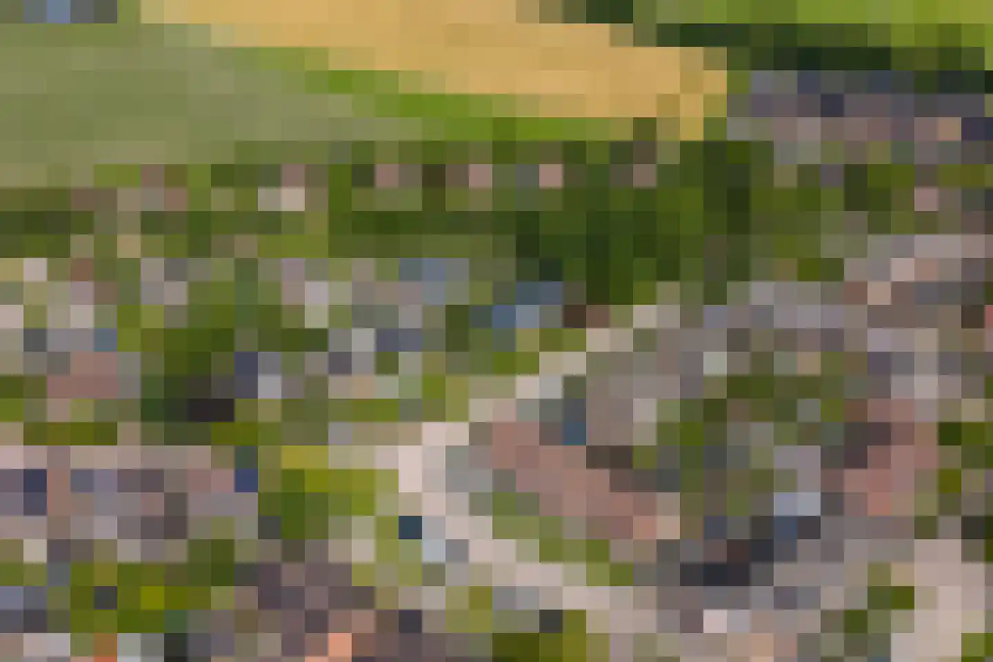 Hamsterdreef 6 Aduard thumbnail 89