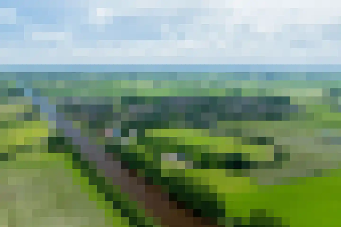 Hamsterdreef 6 Aduard thumbnail 92
