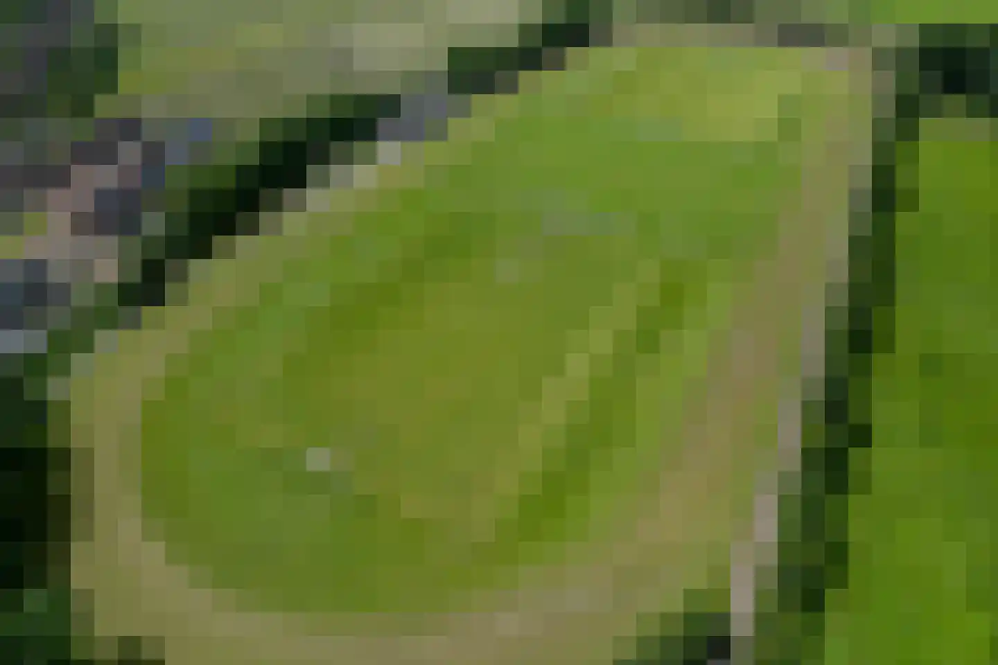 Hamsterdreef 6 Aduard thumbnail 93