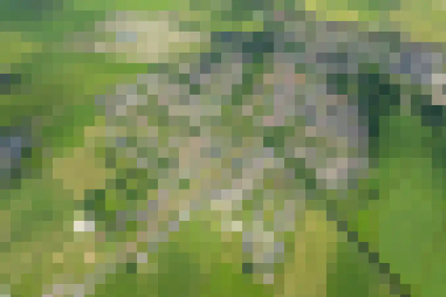 Hamsterdreef 6 Aduard thumbnail 94