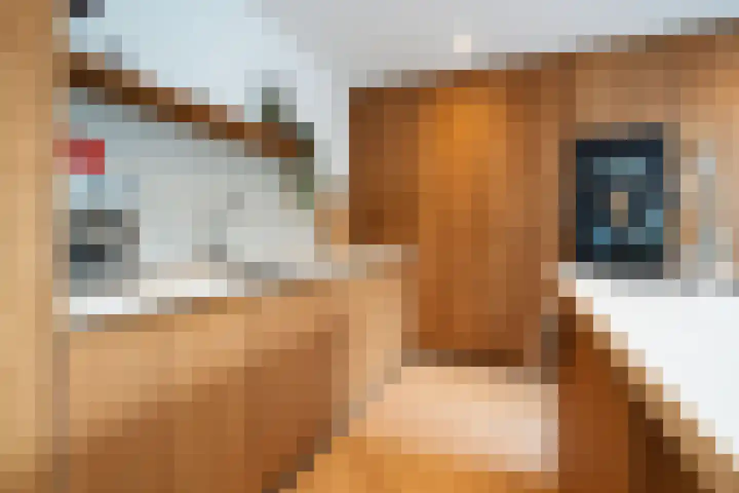 Hamsterlaan 7 Wageningen thumbnail 10